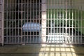 Alcatraz jail cells Royalty Free Stock Photo