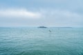 Alcatraz jail island in San Francisco bay with brown pelicans Royalty Free Stock Photo