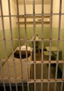 Alcatraz prison cell Royalty Free Stock Photo