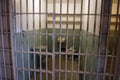 Alcatraz prison cell