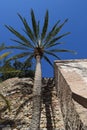 An amazing view fortress of Alcazaba Royalty Free Stock Photo