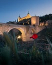 Alcazar of Toledo and Alcantara Bridge at night - Toledo, Castila La Macha, Spain