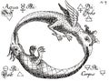 hermetic alchemical illustration of the serpent spirit of the world, taken from the donum dei by abraham eleazar