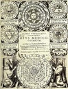 Alchemical image taken from the book chemical medical work by j. d. mylius