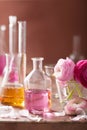 Alchemy and aromatherapy set with ranunculus flowers and flasks Royalty Free Stock Photo