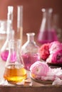 Alchemy and aromatherapy set with ranunculus flowers and flasks Royalty Free Stock Photo