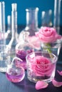 alchemy and aromatherapy set with rose flowers and chemical flasks Royalty Free Stock Photo