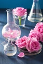 Alchemy and aromatherapy set with rose flowers and chemical flas Royalty Free Stock Photo