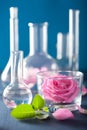 Alchemy and aromatherapy set with rose flowers and chemical flas Royalty Free Stock Photo