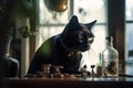 alchemy cat Royalty Free Stock Photo