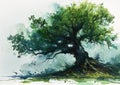 Alchemy of the Elder Oaks: A Visual Journey through the Mighty T