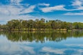 The Alcoa Wellard wetlands provide a refuge for water birds during autumn when hot summer weather has dried up other wetlands Royalty Free Stock Photo