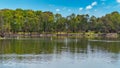 The Alcoa Wellard wetlands provide a refuge for water birds during autumn when hot summer weather has dried up other wetlands Royalty Free Stock Photo