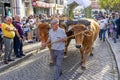 Alcochete is celebrating one of its oldest festivities: the CÃ­rio dos MarÃ­timos.