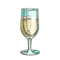 Alcohol Champagne Elegant Glass Color Vector