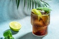 Alcohol cocktail cuba libre with rum, cola, mint and lime in the glass a light background, cookbook recipe top view Royalty Free Stock Photo