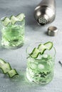 Alcohol cocktail with cucumber pouring from shaker in whiskey glass with ice cubes. Summer coctail Royalty Free Stock Photo