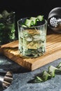 Alcohol cocktail with cucumber in whiskey glass with ice cubes. Summer spirit drink and shaker Royalty Free Stock Photo