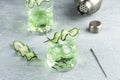 Alcohol cocktail with cucumber in whiskey glass with ice cubes. Summer spirit drink and shaker Royalty Free Stock Photo