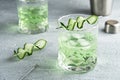 Alcohol cocktail with cucumber in whiskey glass with ice cubes. Summer spirit drink and shaker Royalty Free Stock Photo