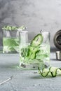 Alcohol cocktail with cucumber in whiskey glass with ice cubes. Summer spirit drink and shaker Royalty Free Stock Photo