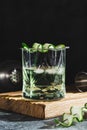 Alcohol cocktail with cucumber in whiskey glass with ice cubes. Summer spirit drink and shaker Royalty Free Stock Photo