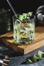 Alcohol cocktail with cucumber in whiskey glass with ice cubes. Summer spirit drink and shaker Royalty Free Stock Photo