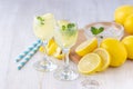 Alcohol cocktail drink with lemon, mint and ice