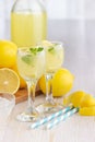 Alcohol cocktail drink with lemon, mint and ice in a small glass