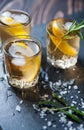 Alcohol cocktail with ice and smoking rosemary on dark table lemon Royalty Free Stock Photo