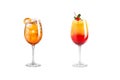 Alcohol cocktail with mint, fruit and berries on a white background. A set of two cocktails in glass goblets on a long leg Royalty Free Stock Photo