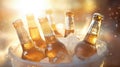 alcohol cold beer drink ice Royalty Free Stock Photo
