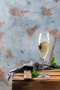 Alcohol drink, beverage, champagne sparkling wine in a flute glass Royalty Free Stock Photo