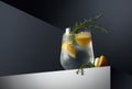 Alcohol drink gin tonic cocktail with lemon, juniper branch, and ice on a dark reflective background