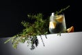 Alcohol drink (gin tonic cocktail) with lemon juniper branch and ice on a dark reflective background