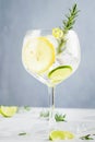 Alcohol drink, gin tonic cocktail, with lemon, lime, rosemary and ice on light background, copy space. Iced drink