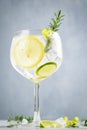 Alcohol drink, gin tonic cocktail, with lemon, lime, rosemary and ice on light background, copy space. Iced drink