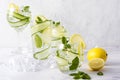 Alcohol drink gin tonic cocktail in a variety of glasses with lemon, cucumber, mint leaves and ice. Iced drink with lemon Royalty Free Stock Photo