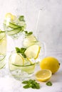 Alcohol drink gin tonic cocktail in a variety of glasses with lemon, cucumber, mint leaves and ice. Iced drink with lemon Royalty Free Stock Photo