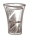 Alcohol drink, vodka in glass, tequila or sambuca isolated sketch