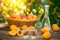 Alcohol fruit brandy drink in shot glass Royalty Free Stock Photo