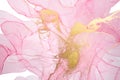 Alcohol ink pink abstract background. Floral style watercolor texture. Pink and gold paint stains illustration. Royalty Free Stock Photo