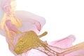 Alcohol ink pink abstract background. Floral style watercolor texture. Pink and gold paint stains illustration. Royalty Free Stock Photo