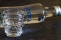 Alcohol kills. Bottle of vodka and glass in shape of skull on dark background