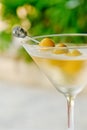 Alcohol Martini cocktail with green olives