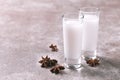 Alcohol Raki with anis. Turkish, Greek aperitif arak, Ouzo Royalty Free Stock Photo