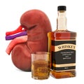 Alcohol`s Impact on Kidney Function concept. Human kidney with alcohol drink. 3D rendering