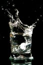 Alcohol splash Royalty Free Stock Photo