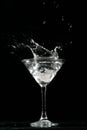 Alcohol splash Royalty Free Stock Photo
