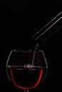 Alcohol and tasting concept. Bottle of wine and glass Royalty Free Stock Photo